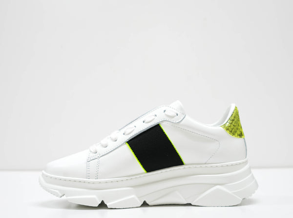 Stokton Women's White & Lime Leather Sneaker 650 -D